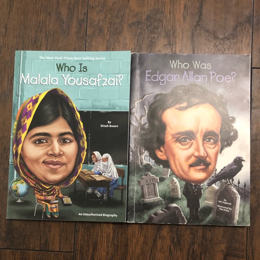 Children’s Books | lot of 2 | for grades 3-7